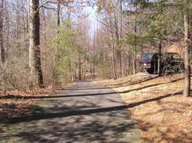 The trail enters a wooded area.