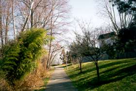 Take the trail to the right up the steep hill.