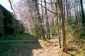 After crossing the bridge turn right and follow the path along the creek.