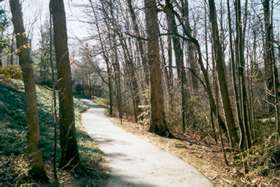Follow the trail along the creek bed with buildings on your left.