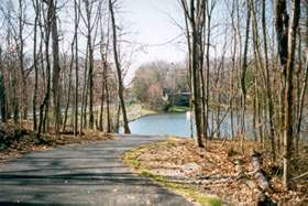 Take the wide asphalt trail towards Lake Anne near the intersection with Wiehle Ave.