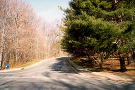 Turn right and walk on sidewalk along Wainwright Dr.