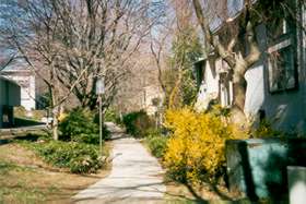 Follow the sidewalk in front of the homes.