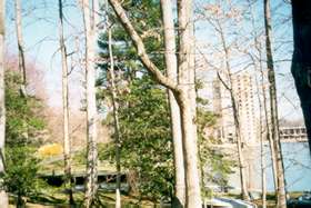 After the last house on the right the Huron House can be seen through the trees across Lake Anne.