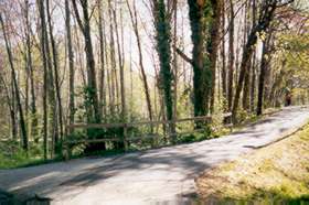 Take trail to right at barrier and follow creek on left.