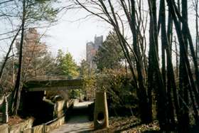 Trail enters this tunnel and jogs to right.  Follow water on left.