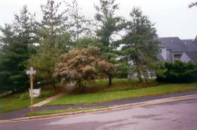 After  crossing Timberhead Ln turn right and follow the trail along that road.