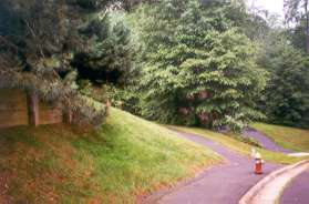 The trail turns left and leaves Timberhead Ln.