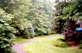 The trail crosses Compass Point Ln and proceeds down hill.