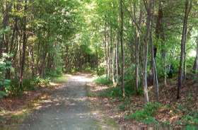 The trail goes down a hill through the woods next to the soccer field.