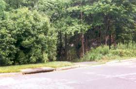 The trail crosses Spyglass Cove Ln.  The other side is to the right.
