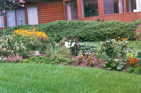 After a short distance this garden will appear on the left.  There is always something in bloom here in warm weather.