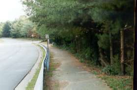 At South Lakes Dr take the trail to the right.