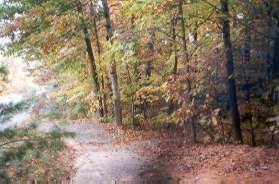 Take the trail to the left down the bank and continue to follow South Lakes Dr.