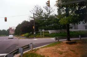 At the intersection with Twin Branches Rd cross the street and take the asphalt trail to the right.