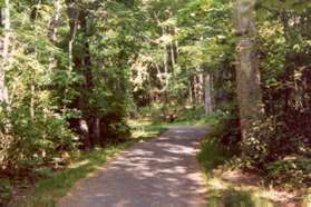 The trail passes through the woods with houses on the right.
