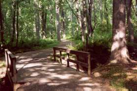 The trail crosses a bridge.