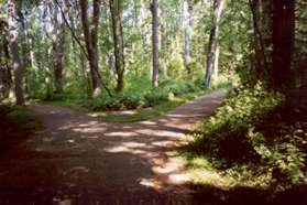Right after the bridge take the trail to the right.