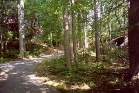 The trail meets a trail from the left.  Keep on the trail as it curves to the right.