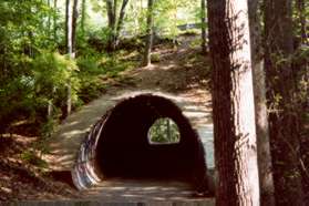 The trail passes through a tunnel under South Lakes Dr.