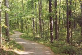 After emerging from the tunnel continue straight on the trail.  The trail to the right goes to the high school parking lot.