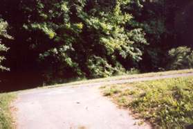 The trail comes to a clearing.  Take the trail intersecting to the right.