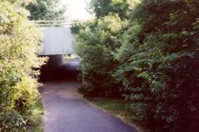 The trail enters a tunnel under Ridge Heights Rd.