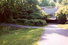 Just prior to the tunnel under South Lakes Dr take the trail to the left.