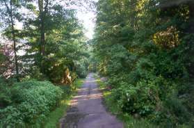 The trail turns left and goes up the hill.