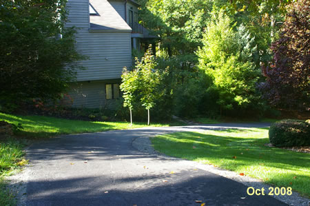 Take the asphalt trail directlly across the street if you like hills. Skip step 11 in the instructions.