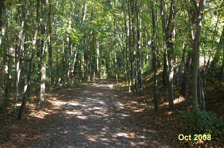 The trail goes down a hill through the woods.