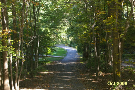 The trail crosses Spyglass Cove La. The trail is slightly to the right and continues down the hill.