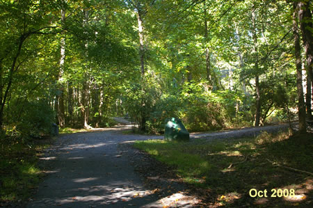 Turn right at the first intersecting trail.