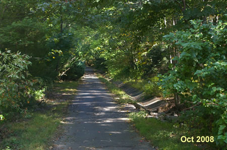 The trail turns left and goes up a hill.