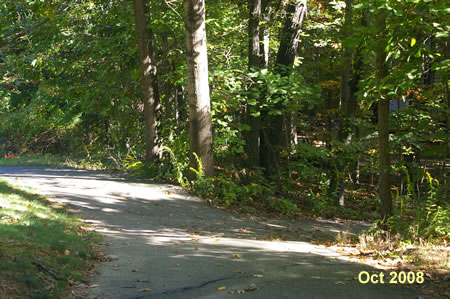 Turn right at the next trail junction to leave South Lakes Drive.