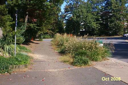 Turn left and follow the asphalt trail along Owls Cove La.