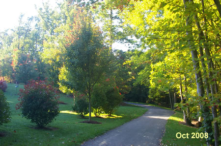 The trail follows the edge of the lake with houses on the left.