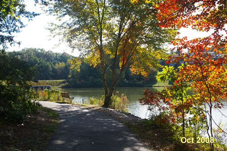 This bench on the curve of the trail offers a good view of the lake.