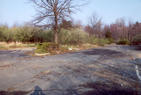 The trail starts from the northwest corner of the parking lot off Michael Faraday Ct.