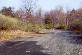 Walk down the paved section of the lot towards the northwest corner.