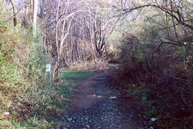 Take the trail at the end of the northwest corner of the parkiing lot.