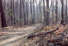 The trail curves behind the National Wilflife Federation and starts down hill at this point.