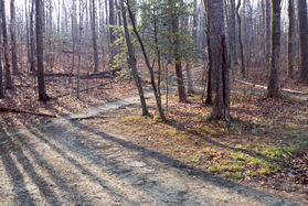 After crossing the stream take the path to the right.