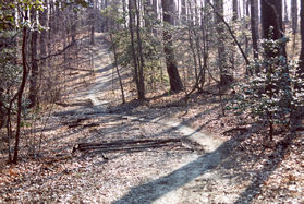 After some time the path goes down hill and crosses the logs shown here.