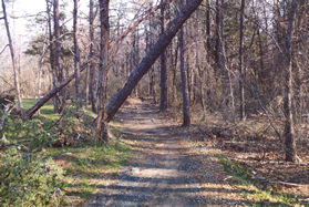 The trail turns slightly to the left .