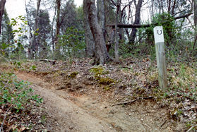 The trail goes up a hill and turns sharply to the left.