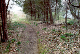 The trail follows a fence line at the edge of the park.