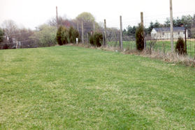 Continue along the fence line into the grassy area.