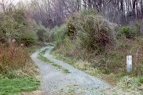 Take the gravel road next to the white marker shown at the edge of the grassy field.