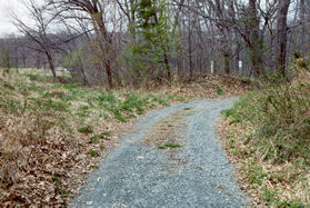 After a distance the road turns slightly to the left. Stay on the road and do not take the trail to the left.